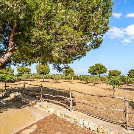 Vista Alegre Holiday home *