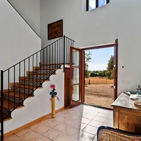 Vista Alegre Holiday home *